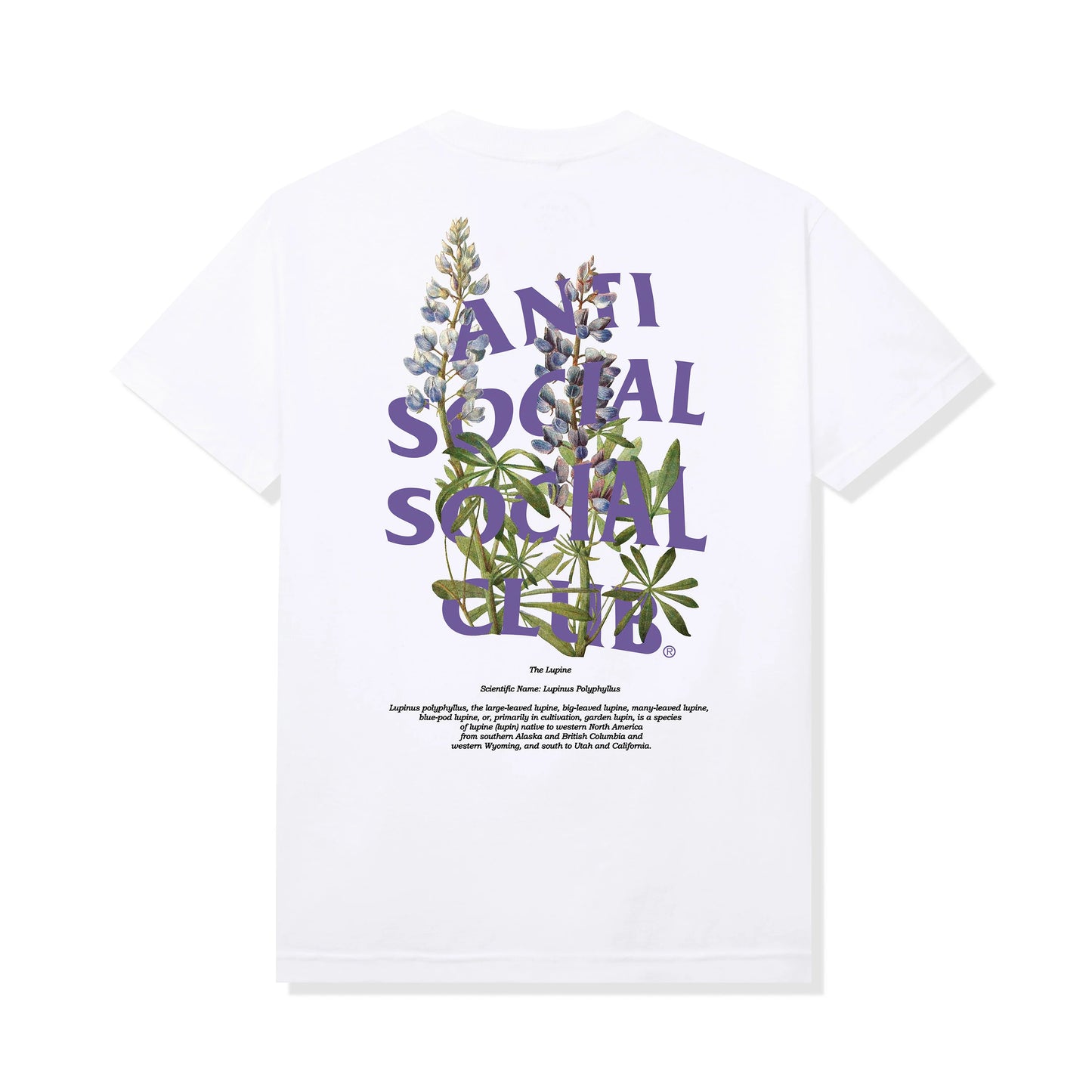Anti Social Social Club Lupine Tee White