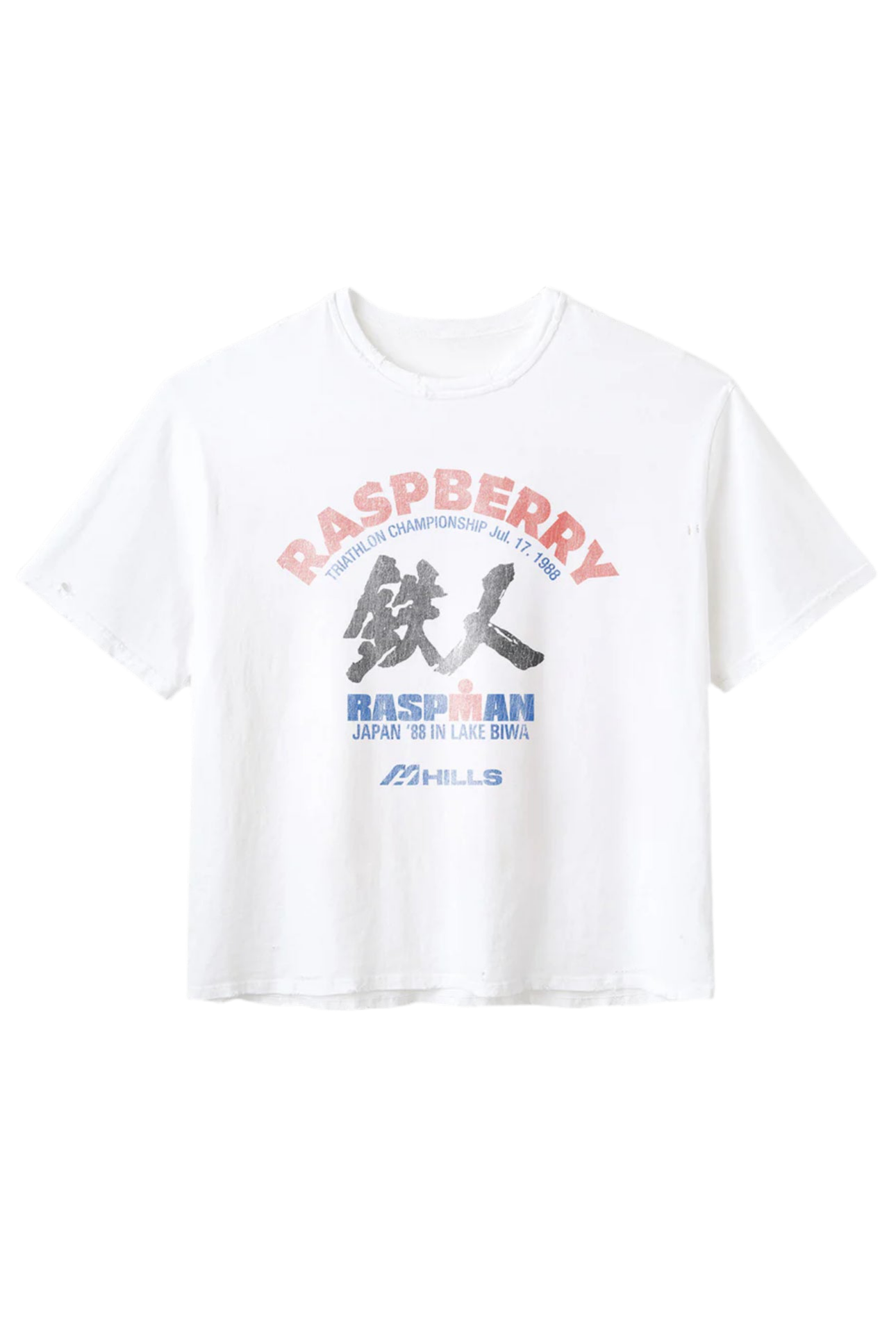 Gv Gallery Lake Biwa Tee